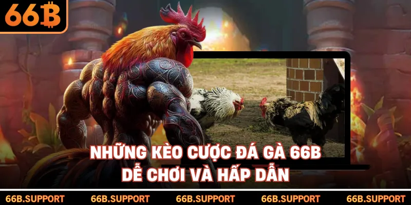 Những kèo cược đá gà 66B dễ chơi và hấp dẫn 